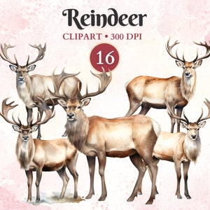 Imágenes Prediseñadas de renos, dibujo de renos, Polo Norte, imágenes prediseñadas de animales árticos, animales de invierno, vida silvestre, Navidad, libro de chatarra