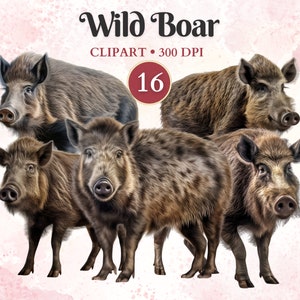 Imágenes Prediseñadas de jabalí, animales salvajes, vector de jabalí, imágenes prediseñadas de vida silvestre, bosque Png, animales del bosque, libro de recortes