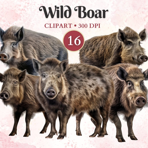 Wild Boar Clipart, Wild Animals, Boar Vector, Wildlife Clipart, Forest Png, Woodland Animals, Scrap Book