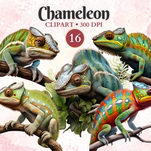 Chameleon Clipart, Chameleon Png, Lizard Clipart, Lizard Silhouette, Reptile Clipart, Animal Vector, Herpetology