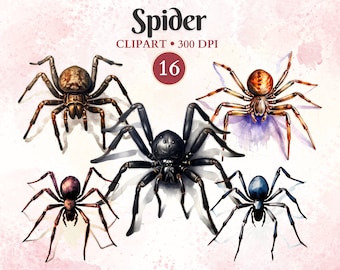 Spider Clipart, Spider Png, Tarantulas, Silhouette, Entomology, Animal Vector, Nature, Scientific Illustration