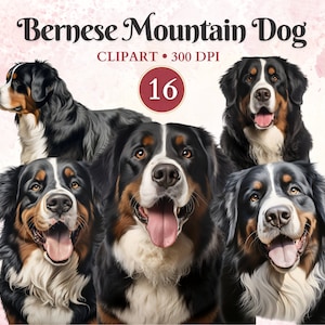 Berner Sennenhund Clipart, Berner Hund Grafiken, Haustier Grafiken, Haustier Vektor Kunst, Canine Clipart, Schrottbuch