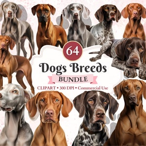 Hunderassen Clipart Bundle, Weimaraner Png, Rhodesian Ridgeback, Vizsla Ungar, Deutscher Pointer, Hunde Clipart