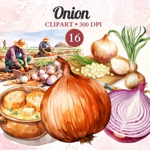 Clipart Oignon, Aquarelle, Légumes Png, Alimentation Saine, Végétal, Végétalien, Salade, Végétarien, Jardin, Ferme, Agriculture