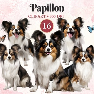 Imágenes Prediseñadas de Papillon, gráficos de mariposas, vectores de Papillon, gráficos de mascotas, arte vectorial de perros, imágenes prediseñadas de perros pequeños, libro de chatarra