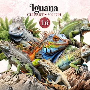 Iguana Clipart, Iguana Png, Lizard Clipart, Lizard Silhouette, Reptile Clipart, Jungle, Animal Vector, Herpetology