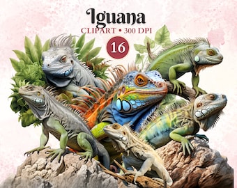 Clipart Iguana, Iguana Png, Clipart lucertola, Silhouette lucertola, Clipart rettile, Giungla, Vettore animale, Erpetologia