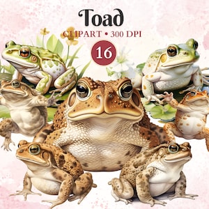 Clipart de sapo, sapo png, vetor de sapo, clipart de anfíbios, pântano, lagoa, silhueta de animal, vetor de animal, herpetologia