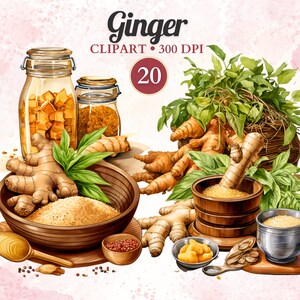 Puede incluir: Una ilustración de acuarela de raíz de jengibre, polvo de jengibre y caramelos de jengibre. La ilustración incluye un mortero y un pilón, un tazón de polvo de jengibre y un frasco de caramelos de jengibre. El texto "Ginger" y "20" es visible en la imagen.