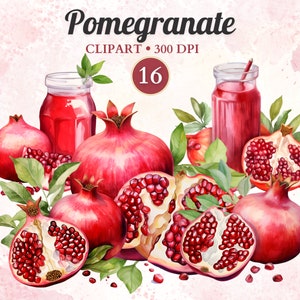 Clipart grenade, clipart fruits, aquarelle de fruits, saveur tropicale, aliments sains Png, grenade Png, album de scrapbooking