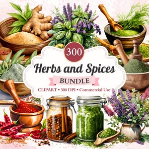 Clipart de ervas e especiarias, pacote, conjunto, aquarela, ervas png, especiarias, potes, planta, culinária, condimento, culinária, orgânico, uso comercial