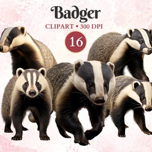 Imágenes Prediseñadas de tejón, animales salvajes, tejón de miel, imágenes prediseñadas de vida silvestre, bosque Png, animales del bosque, libro de chatarra