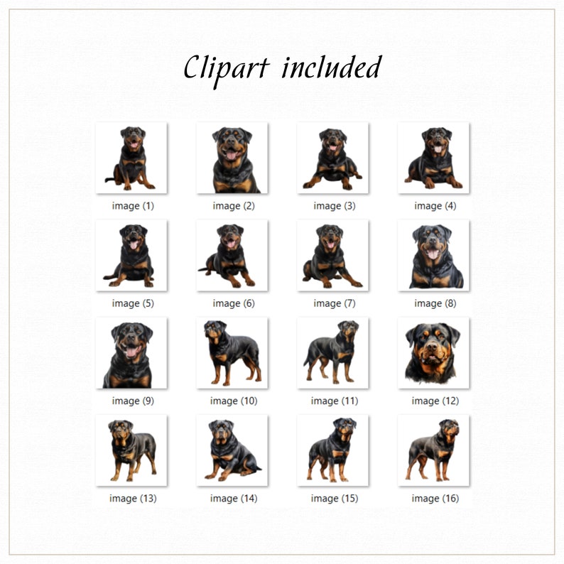 Rottweiler U2013 New-Spin Metal Casting