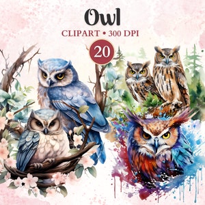 May include: A digital illustration of four owls in a watercolor style. The owls are in various poses and colors, including blue, brown, and red. The background is a pink watercolor wash with splashes of color.