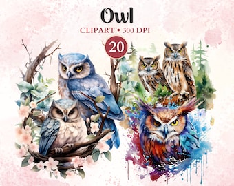 Uggla Clipart, Uggla Png, Fågel Clipart, Fågel Png, Skogsmarksdjur, Skogsdjur, Djurvektor, Natur, Sublimering