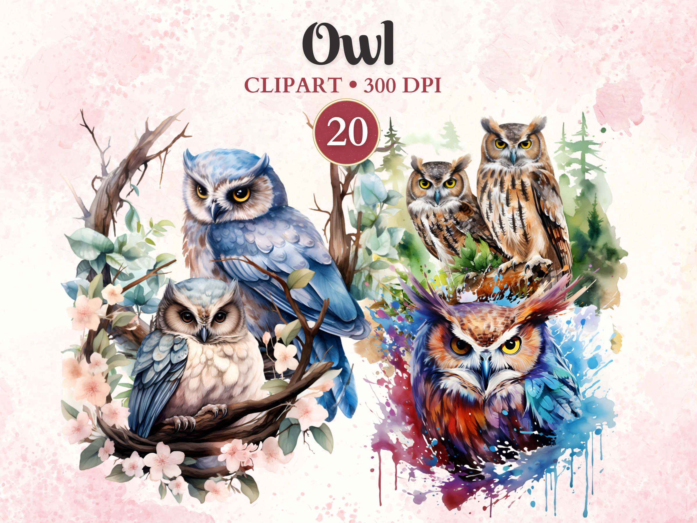 Owl Clipart, Owl Png, Bird Clipart, Bird Png, Woodland Animal, Forest Animal, Animal Vector, Nature,