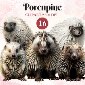Clipart di porcospino, animali selvatici, sagoma di porcospino, clipart della fauna selvatica, foresta Png, animali del bosco, album di ritagli
