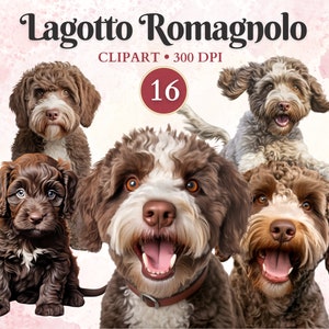 Lagotto Romagnolo Clipart, Raza de perro italiano, Gráficos de mascotas, Arte vectorial de mascotas, Vector de perro, Imágenes prediseñadas caninas, Libro de chatarra