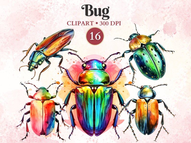 Bug Clipart, Bug Png, Bug Image, Insect Clipart, Silhouette, Entomology ...