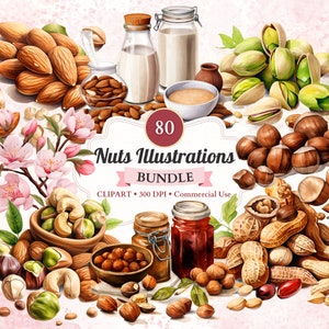 Noten illustraties clipartbundel, set, moer clipart, pinda, hazelnoot, aquarel amandel, cashewnoten, commercieel gebruik