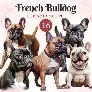 Clipart de buldogue francês, Bulldog Png, Frenchie Png, clipart de silhueta de cachorro, gráficos de animais de estimação, vetor de cachorro, gráficos de animais