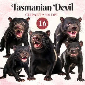 Imágenes Prediseñadas del diablo de Tasmania, animales salvajes, imágenes prediseñadas de vida silvestre, diablo de Tasmania, animales australianos, libro de chatarra