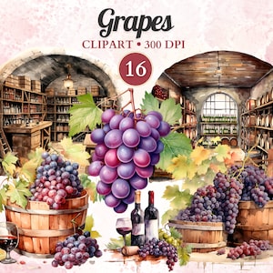 Clipart di uva, Png di uva, uva e vino, grappolo d'uva, clipart di frutta, clipart di vino, vigneto, azienda vinicola, clipart alimentare