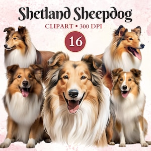 Imágenes Prediseñadas de perro pastor de Shetland, imágenes prediseñadas de Collie, arte de perro pastor, gráficos de mascotas, arte vectorial de mascotas, imágenes prediseñadas caninas, libro de chatarra