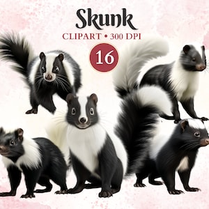 Stinktier Clipart, wilde Tiere, Stinktier Png, Wildtiere Clipart, Wald Png, Waldtiere, Scrap Buch