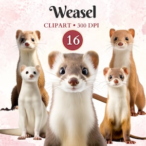 Clipart wezel, wilde dieren, dieren in het wild clipart, schattige wezelkunst, bosdieren, bos png, schrootboek