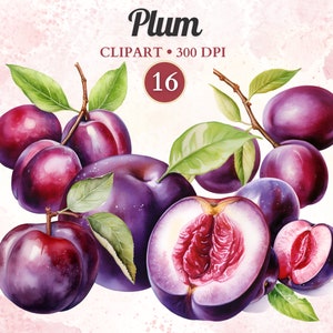 Pflaume Clipart, Pflaume digitale Kunst, Aquarell Obst, Landwirtschaft Clipart, Süße Freude, Transparente Png, Scrap Buch