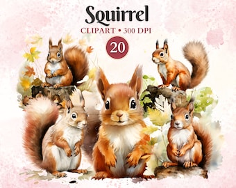Ardilla Clipart, Ardilla Png, Acuarela, Animales del Bosque, Conjunto de Imágenes Prediseñadas de Animales del Bosque, Elementos del Bosque, Png Transparente, Descarga Instantánea