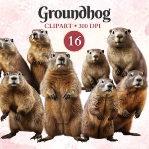Groundhog Clipart, Wild Animals, Groundhog Cut File, Wildlife Clipart, Forest Png, Woodland Creature, Scrap Book