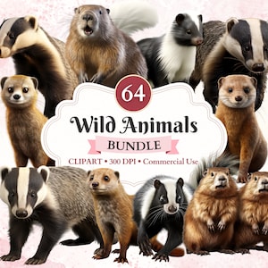 Paquete de imágenes prediseñadas de animales salvajes, mangosta, zorrillo png, tejón de miel, castor, imágenes prediseñadas de vida silvestre, bosque png, uso comercial