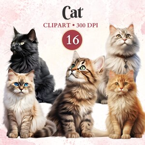 Imágenes Prediseñadas de gato, arte vectorial de gato, animales domésticos, gráficos de mascotas, imágenes prediseñadas de mascotas, gráficos de animales, libro de recortes
