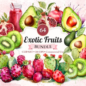 Paquete de frutas exóticas, conjunto, vector de aguacate, pintura de granada, kiwi png, nopal, comida saludable, uso comercial