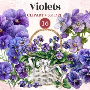 Clipart di viole, Clipart di fiori viola, stagione primaverile, elementi floreali, vettore di fiori, grafica primaverile