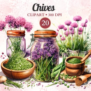 Chives Clipart, Herbs Clipart, Herbs png, Herbs Illustrations, Spice, Jars, Plant, Cooking, Condiment, Culinary, Food, Organic, Watercolor