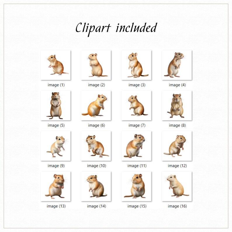 Gerbil Clipart, Domestic Animals, Gerbil, Rodent Clipart, Rodent ...