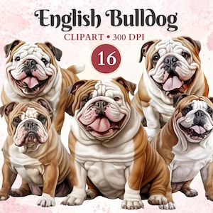 Imágenes Prediseñadas de Bulldog Inglés, Bulldog Png, Imágenes Prediseñadas de silueta de perro, gráficos de mascotas, Vector de perro, gráficos de animales, libro de recortes