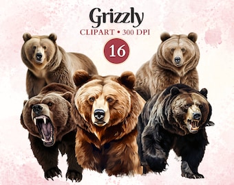 Grizzly Clipart, Wild Animals, Grizzly Bear Clip Art, Wildlife Clipart, Forest Png, Woodland Animals, Scrap Book