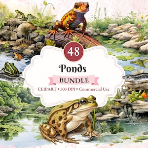 Bundle de cliparts étangs, png d'étang, vecteur d'étang, clipart grenouille, têtard, clipart amphibiens, marais, vecteur Animal, herpétologie