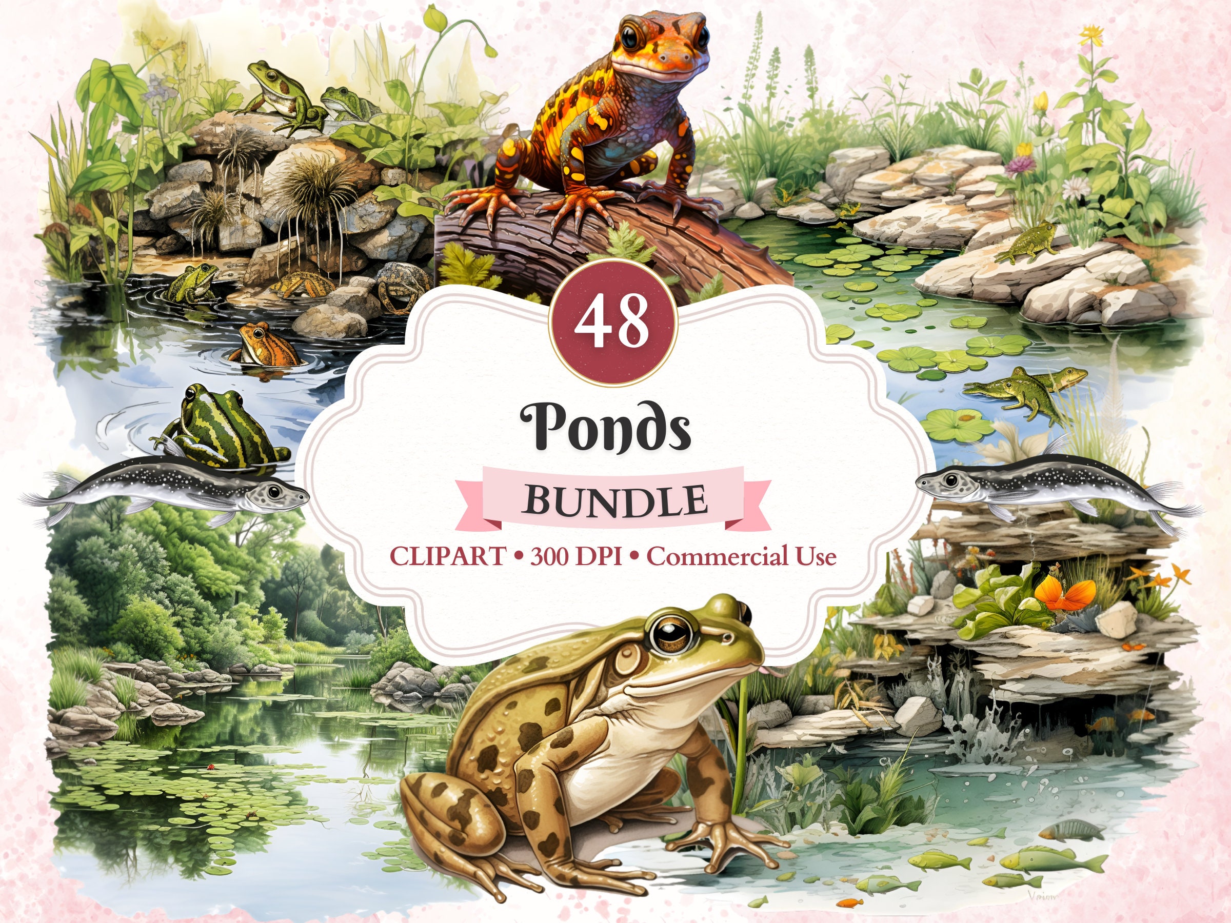 Estanque con ranas - Etsy México, image size:2400x1800