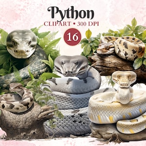 Python Clipart, Python Png, Snake Clipart, Snake Png, Serpent Silhouette, Reptile Clipart, Animal Vector, Herpetologia