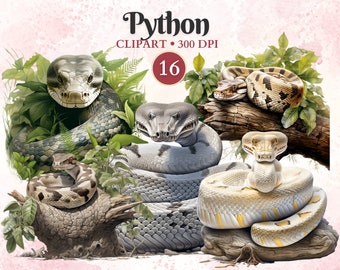 Python Clipart, Python Png, Snake Clipart, Snake Png, Serpent Silhouette, Reptile Clipart, Animal Vector, Herpetology