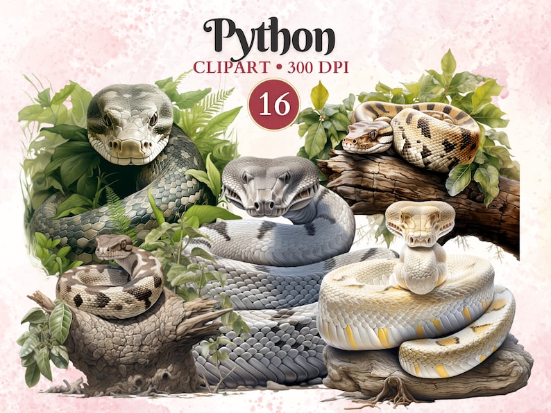 Python Clipart, Python Png, Snake Clipart, Snake Png, Serpent ...
