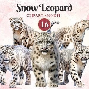 Clipart léopard des neiges, oeuvre d'art léopard des neiges, clipart animaux hiver, faune, animaux de la forêt, album de coupures
