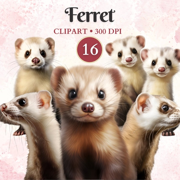 Ferret Clipart, Pet Graphics, Ferret Vector Art, Pet Clipart, Domestic Animals, Cute Domestic Animal Images