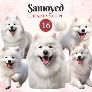 Samojede Clipart, Samojede Png, Hund Silhouette Clip Art, Haustier Grafiken, Hund Vektor, Eckzahn Clipart, Schrottbuch