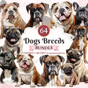 Hunderassen Clipart Bundle, Englische Bulldogge Png, Frenchie Png, Boxer Hund, Mops Vektor, Süßer Hund, Canine Clipart